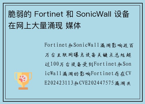 脆弱的 Fortinet 和 SonicWall 设备在网上大量涌现 媒体