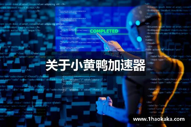 关于小黄鸭加速器